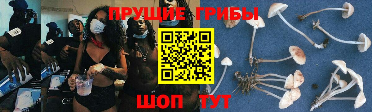 Галлюциногенные грибы GOLDEN TEACHER  Вход с VPN  Кыштым 